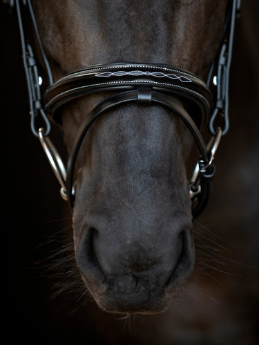 Catago Torina Bridle| Online For Equine