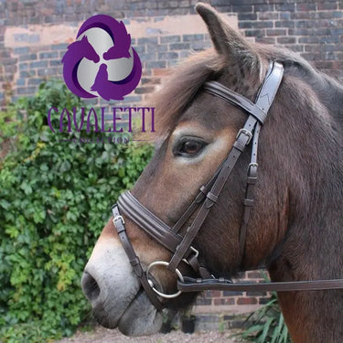 Cavaletti Collection Covered Gp Saddle| Online For Equine