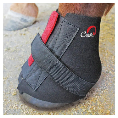 Cavallo Pastern Wraps| Online For Equine