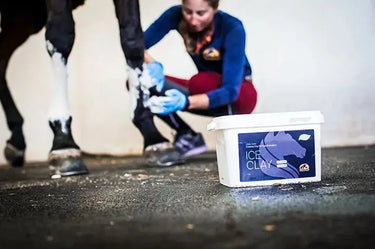 Cavalor Cooling Ice Clay| Online For Equine