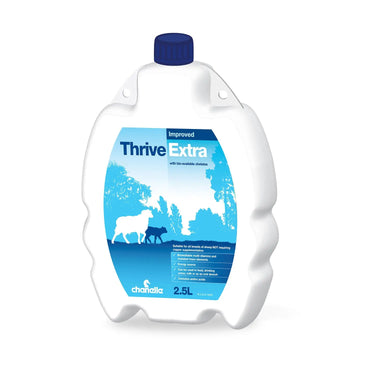 Buy Chanelle Thrive Extra | Online for Equine