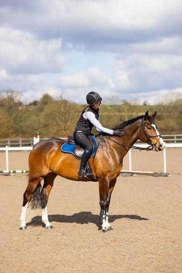 Charles Owen Black Eclipse Gilet Back Protector| Online For Equine