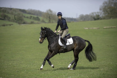 Buy Charles Owen Pro 2 Plus Jockey Helmet| Online for Equine