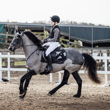 Charles Owen Hexa Childrens Body Protector| Online For Equine