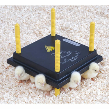 Chicktec Comfort 25 Std Uk| Online For Equine