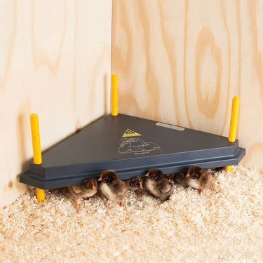 Chicktec Comfort 40 Std Triangle Corner Brooder Eu| Online For Equine