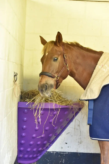Buy Classic Showjumps Hay Holder| Online for Equine