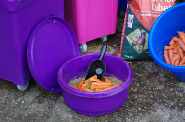 Buy Classic Showjumps Interstacking Feed Bucket| Online for Equine