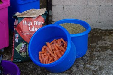 Buy Classic Showjumps Interstacking Feed & Water Bucket| Online for Equine
