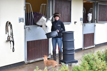 Buy Classic Showjumps Interstacking Feed & Water Bucket| Online for Equine