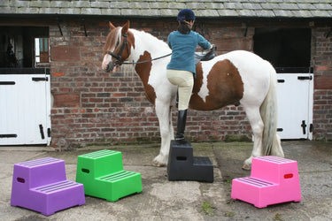 Buy Classic Showjumps Premium 2 Step Mounting Block| Online for Equine
