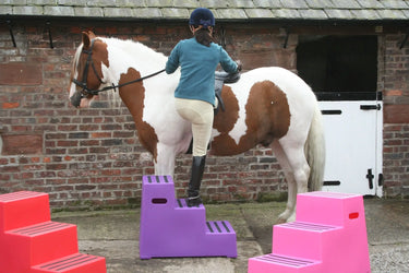 Buy Classic Showjumps Premium 3 Step Mounting Block| Online for Equine
