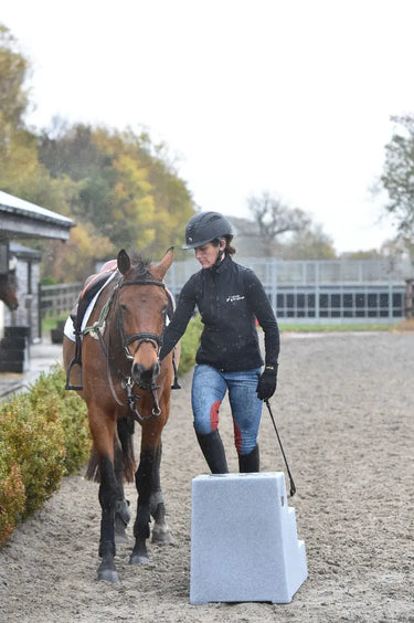 Buy Classic Showjumps Premium 3 Step Mounting Block| Online for Equine