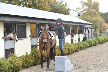 Buy Classic Showjumps Premium 3 Step Mounting Block| Online for Equine