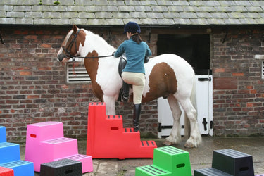 Buy Classic Showjumps Premium 4 Step Mounting Block| Online for Equine