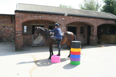 Buy Classic Showjumps Standard 1 Step Round Mounting Block| Online for Equine