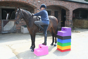 Buy Classic Showjumps Standard 2 Step Mounting Block| Online for Equine