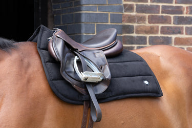 Coldstream Belford Suede GP Saddle Pad Black| Online For Equine
