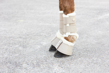 Coldstream Bowden Brushing Boots Latte| Online For Equine