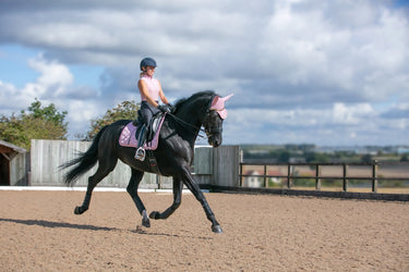 Coldstream Cranshaws Sleeveless Base Layer Blush Pink| Online For Equine