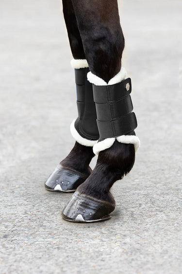 Coldstream Gordon C-Flex Air Flow Brushing Boots Ink| Online For Equine