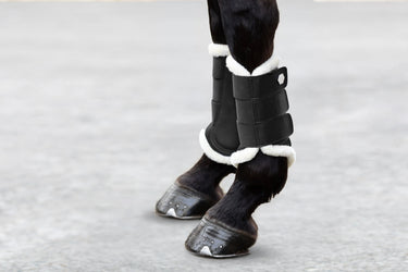 Coldstream Gordon C-Flex Air Flow Brushing Boots Ink| Online For Equine