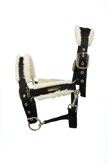 Coldstream Langlee Luxury Head Collar & Lead Rope| Online For Equine
