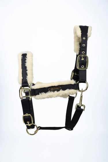Coldstream Langlee Luxury Head Collar & Lead Rope| Online For Equine