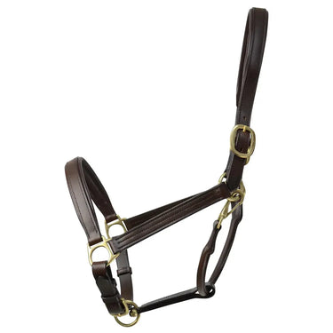 Coldstream Leather Padded Head Collar| Online For Equine