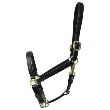Coldstream Leather Padded Head Collar| Online For Equine