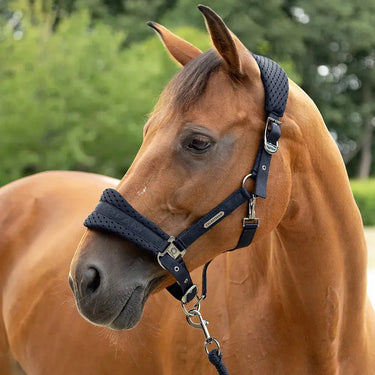Coldstream Middleton Air Flow Head Collar & Lead Rope| Online For Equine