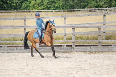 Coldstream Next Generation Ednam Base Layer Slate Blue| Online For Equine