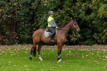 Coldstream Shine Mane & Tail Brush| Online For Equine