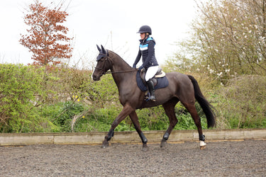 Coldstream Southdean Quilted Gilet| Online For Equine