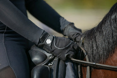 Coldstream Swinton Combi Mesh Summer Riding Gloves Black| Online For Equine