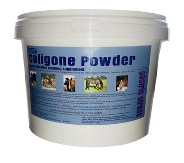 Coligone Powder| Online For Equine
