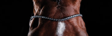 Buy Collegiate ComFiTec Crystal Bridle| Online for Equine