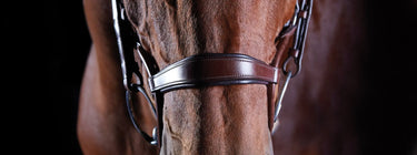 Buy Collegiate ComFiTec Crystal Bridle| Online for Equine