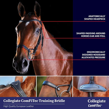 Buy Collegiate ComFiTec Crystal Bridle| Online for Equine