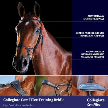 Buy Collegiate ComFiTec Crystal Bridle| Online for Equine