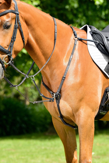 Buy Collegiate ComFiTec Opulux 3-Point Padded Raised Breastplate (Running Attachment) | Online for Equine