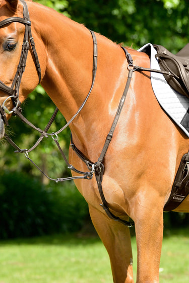 Buy Collegiate ComFiTec Opulux 3-Point Padded Raised Breastplate (Running Attachment) | Online for Equine