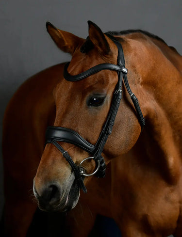 Buy Collegiate ComFiTec Opulux Dressage Bridle| Online for Equine