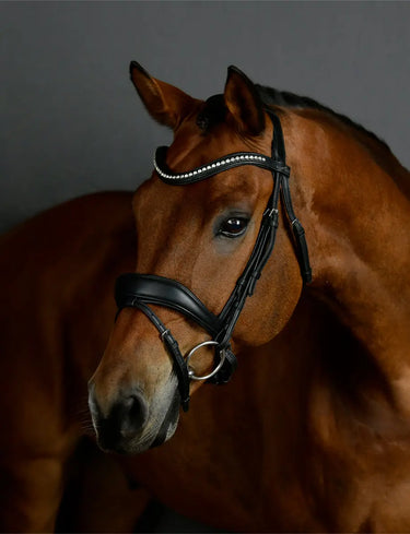 Buy Collegiate ComFiTec Opulux Dressage Bridle| Online for Equine