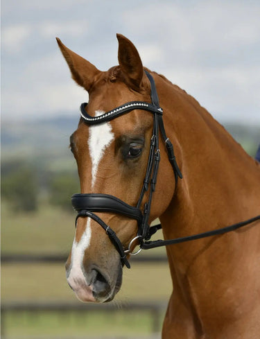 Buy Collegiate ComFiTec Opulux Dressage Bridle| Online for Equine