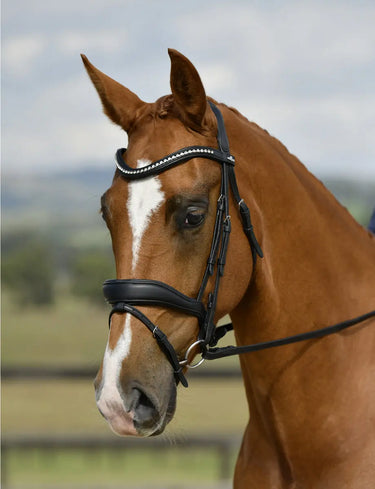 Buy Collegiate ComFiTec Opulux Dressage Bridle| Online for Equine