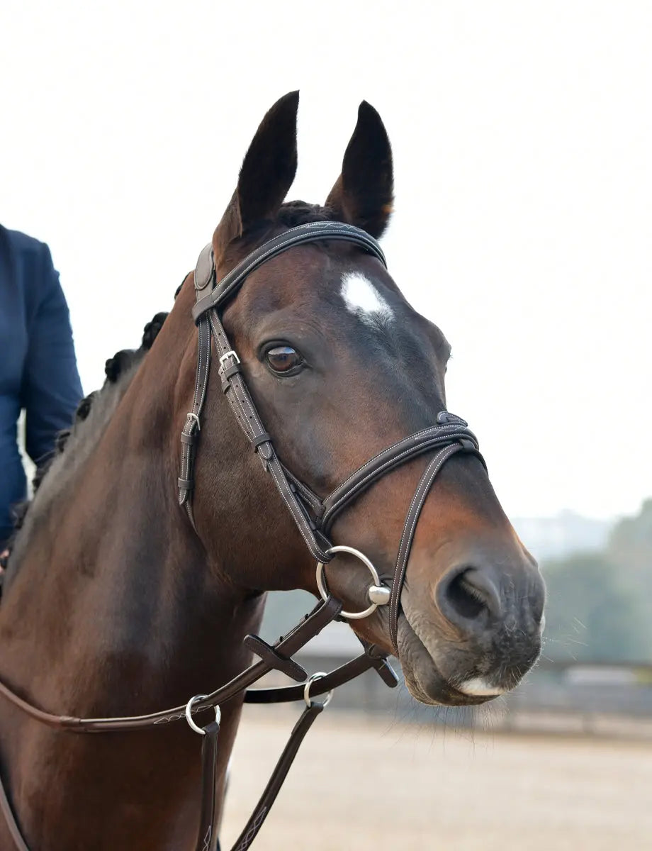 Bridon d'équitation ComFiTec avec cristaux Bridon d'équitation ComFiTec avec cristaux