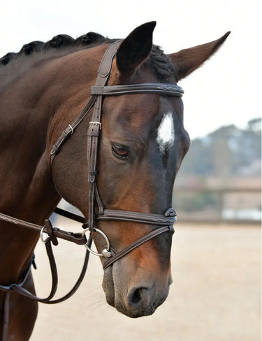 Buy Collegiate ComFiTec Opulux Fancy Stitch Padded Hanoverian Bridle | Online for Equine