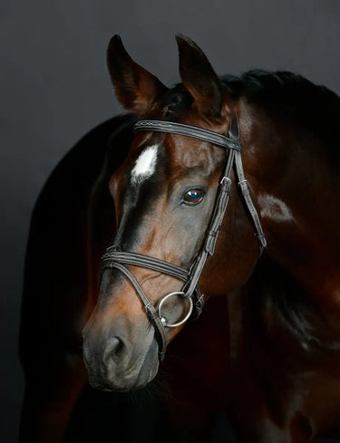 Buy Collegiate ComFiTec Opulux Fancy Stitch Padded Hanoverian Bridle | Online for Equine