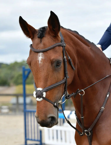 Buy Collegiate ComFiTec Opulux Plain Padded Grackle Bridle | Online for Equine